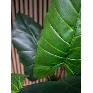 EUROPALMS Taro Alocasia, artificial plant, 140cm