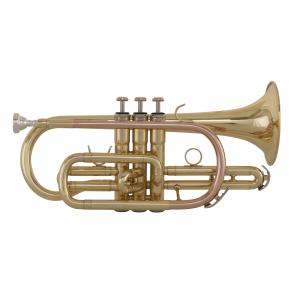 GRASSI GR SC240
