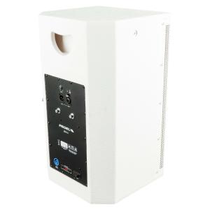 PROEL SOUND LTX10AW