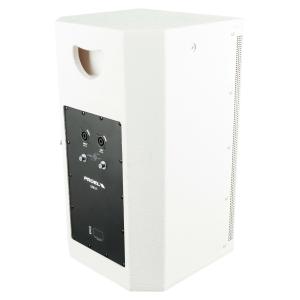 PROEL SOUND LTX10PW